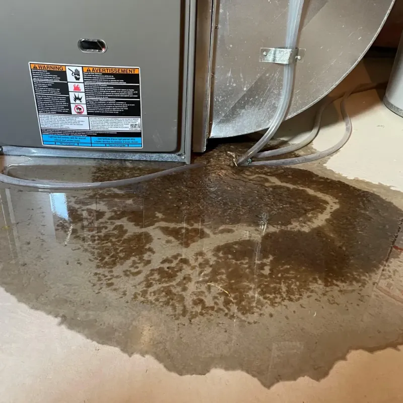 Appliance Leak Cleanup in Horseshoe Bend, AR