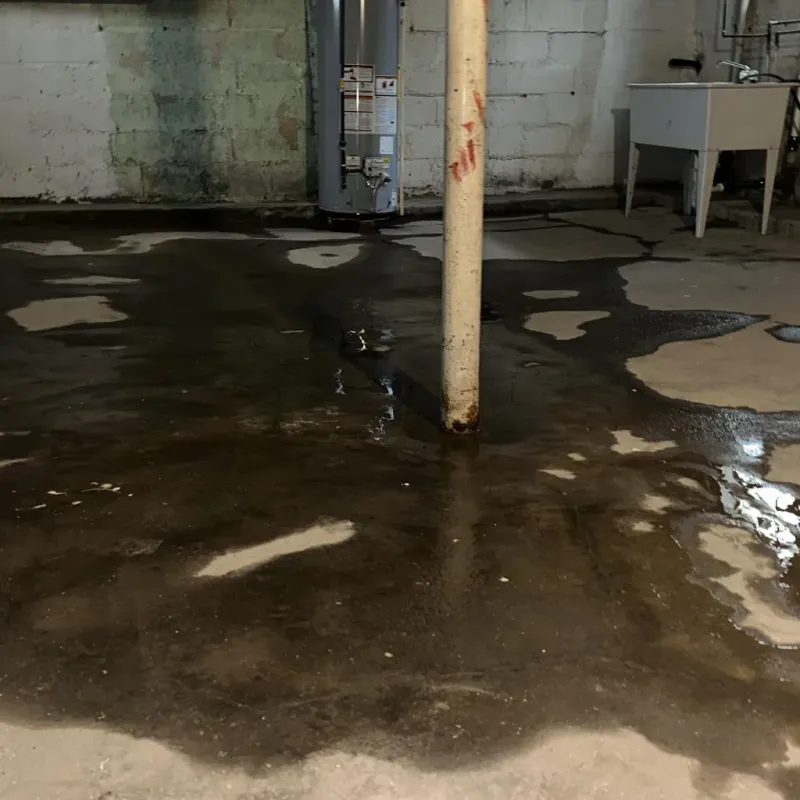 Emergency Water Extraction And Removal in Horseshoe Bend, AR